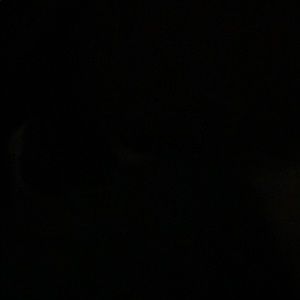 Meet your Posher, Cory